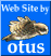 Otus Web Design